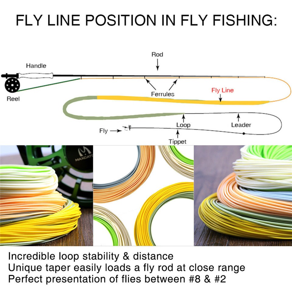 Maximumcatch 100FT 3/4/5/6/7/8WT Double Color Fly Fishing Line Weight