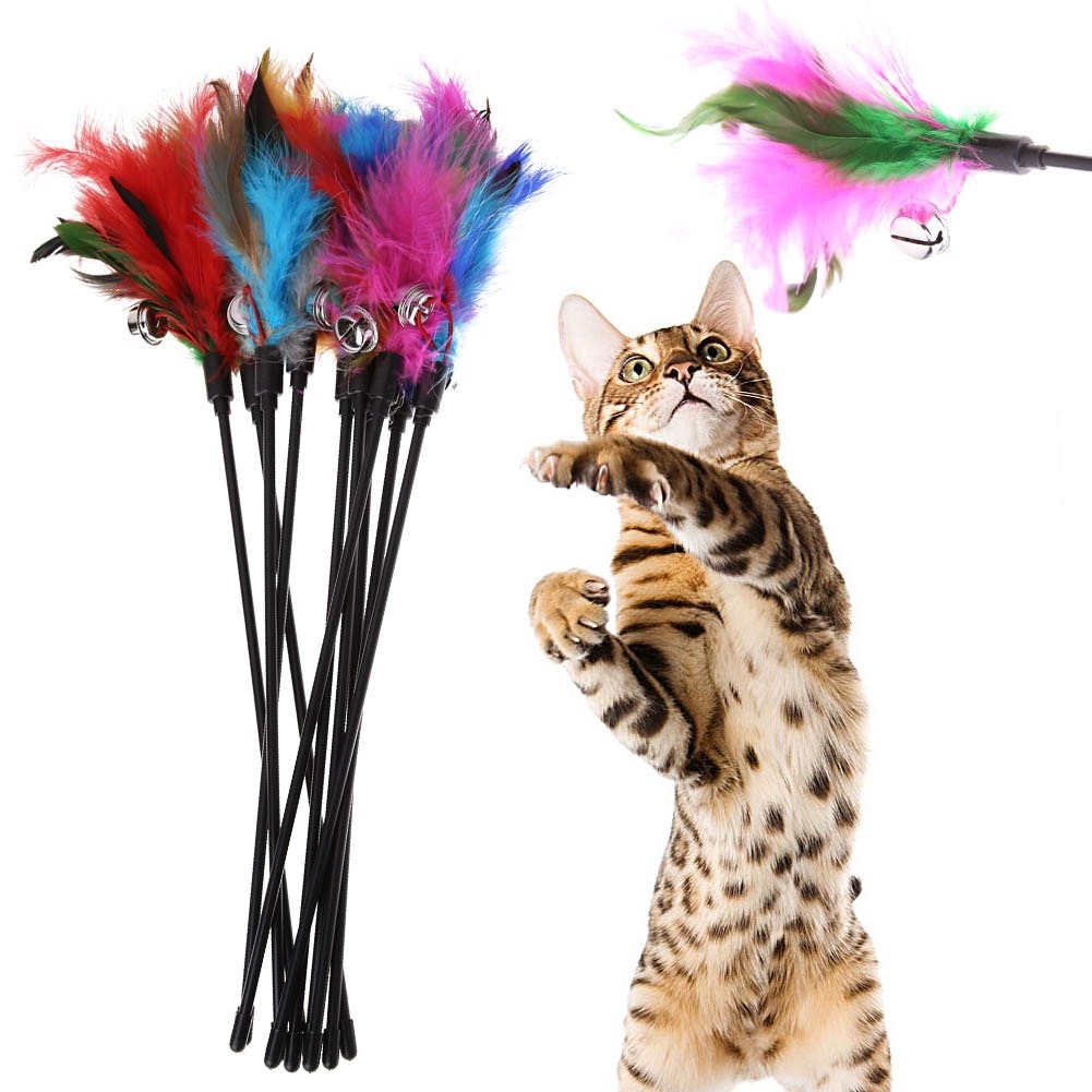 cat toy feather wand