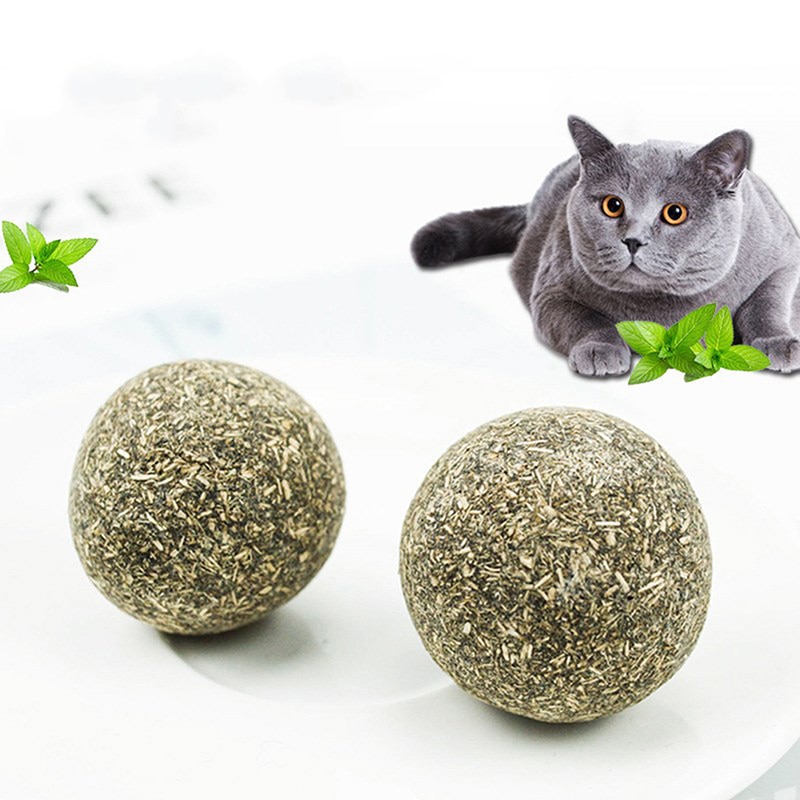 cat food ball